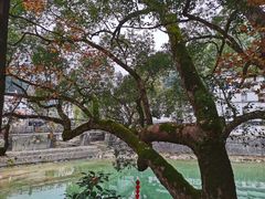 -楠溪江风景名胜区