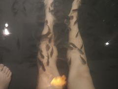 -天目湖御水温泉·度假酒店