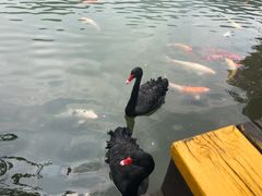 -东部华侨城