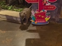 -怡泰SPA·泰疗按摩(徽宁路店)