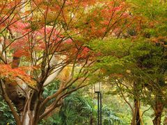 -上海吴淞炮台湾国家湿地公园