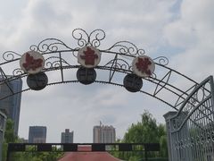 -武汉知音号