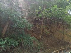 -九龙潭景区