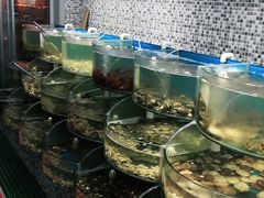 水产区-仙螺岛海鲜自助餐厅(总店)