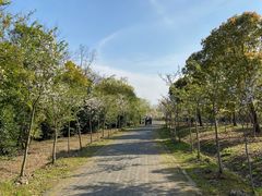 -上海海湾国家森林公园