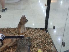 -证大大拇指广场(芳甸路店)