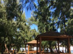 -北海金海湾红树林生态旅游区