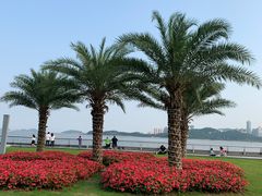 -野狸岛