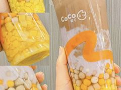 -CoCo都可(惠福店)