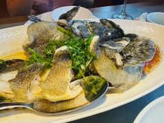 -新天明砂锅鱼头煲