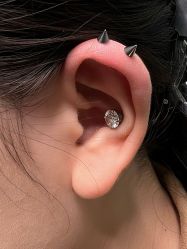 -针牛刺客·刺青纹身