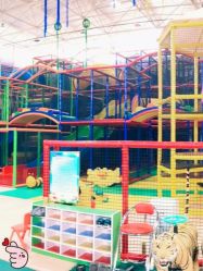 -爱丽丝奇幻乐园