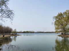 -大兴滨河森林公园