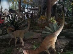 -湖南省地质博物馆