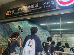 -自然博物馆(地铁站)