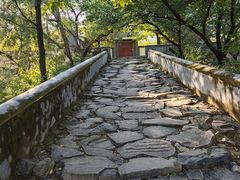 -阳台山自然风景区