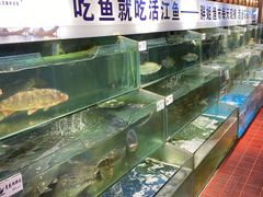 水产区-胖姐渔村(中源大道店)