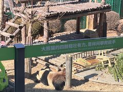 -大连森林动物园