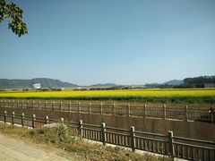-光明小镇欢乐田园