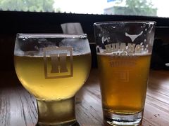 晃晃悠悠小姐姐cider-晃晃悠悠酒肉合作社