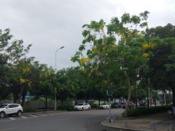 -福州儿童公园