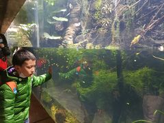 -华夏文旅西安度假区