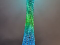 -珠江夜游广州塔·中大码头