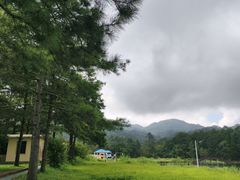 -海南热带雨林国家公园吊罗山景区