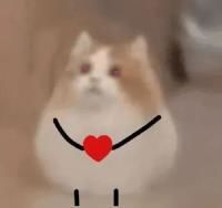 -长藤鬼校(龙翔店)