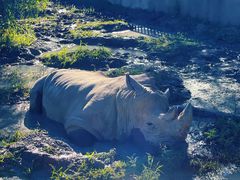 -哈尔滨北方森林动物园