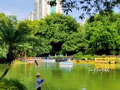 -晓港公园