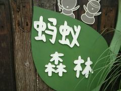 -田园东方蜜桃村的田野营地