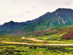 -兰州吐鲁沟国家森林公园