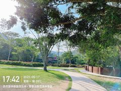 -野象谷景区