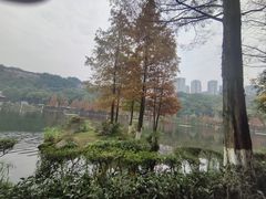 -重庆彩云湖湿地公园