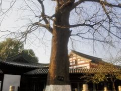 -常熟方塔园