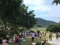 -风云岭森林公园