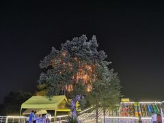 -长洲岛都市农业公园