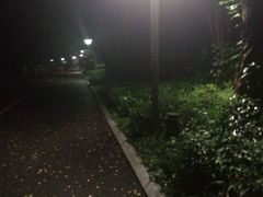 -南宁南湖公园