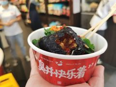 -黑色经典臭豆腐·湖南特产(坡子街店)