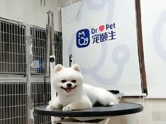 -宠颐生宠物医院·骨外科·犬猫全科诊疗中心(池州店)