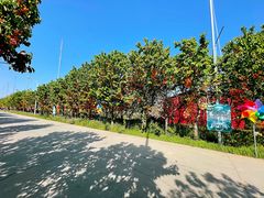 -第五季龙水凤港生态露营农场