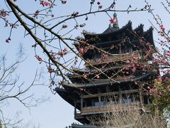 -杭州半山国家森林公园