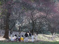 -杭州植物园