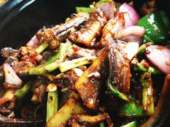 -裕华(南华东路店)