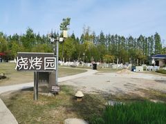 -上海长兴岛郊野公园