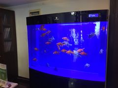 -圣典成人钢琴俱乐部(国贸旗舰校区)