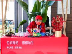 -利星行天竺之星汽车有限公司