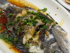 -金海湾海鲜排档(朱家尖店)