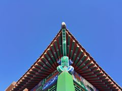 -莲花池公园